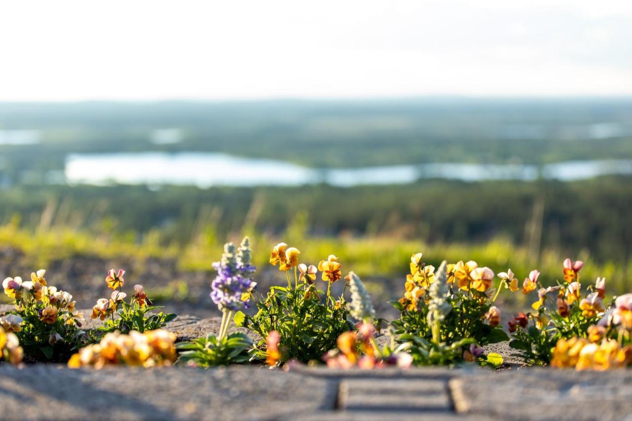 Holiday In Lapland - Levi Postintie 3B 322 المظهر الخارجي الصورة
